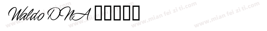 1 Waldo DNA字体转换